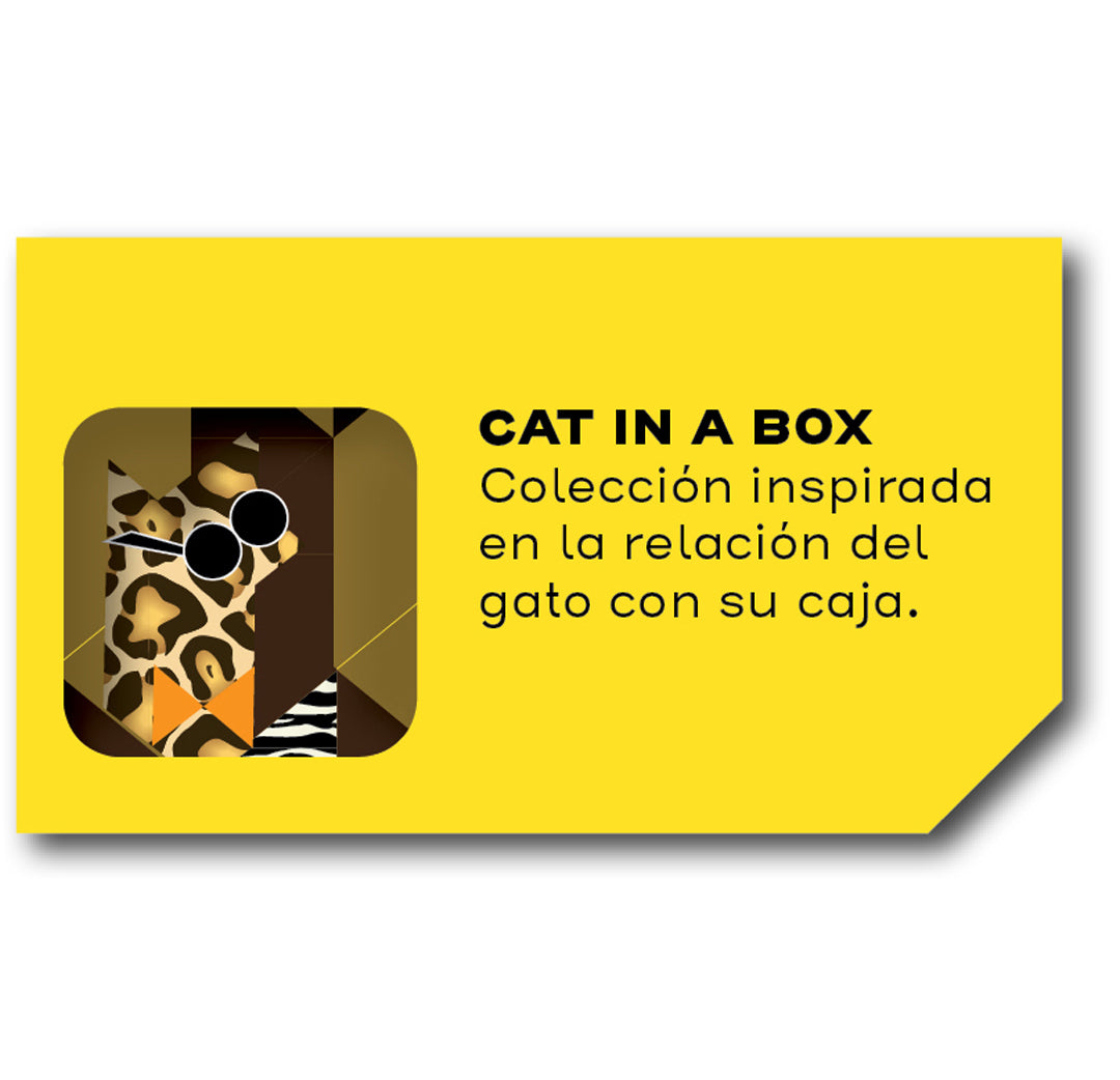 CAT IN A BOX